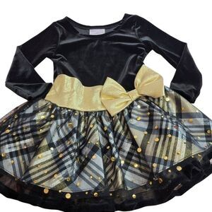 Iris & Ivy special occasion dress 2T